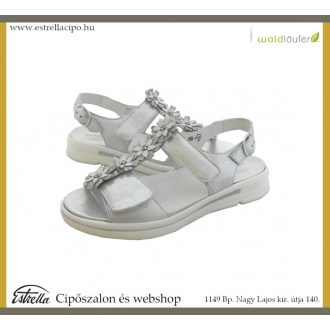 Waldlaufer/226004ezüst.NORMÁL