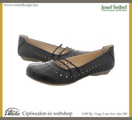 JosefSeibel/87205fekete.NORMÁL
